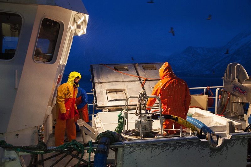 visserij Lofoten